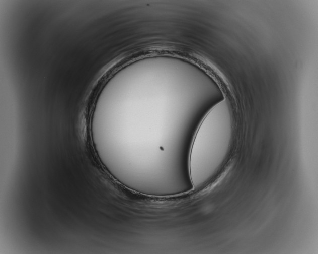 X0000099490829200805150926