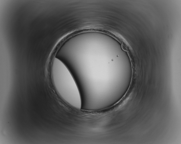 X0000099490830200805150926