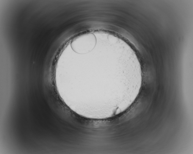 X0000099490832200805150926