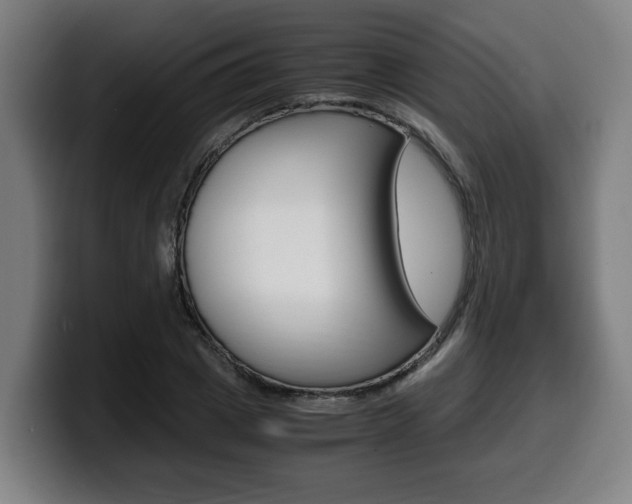 X0000099490833200805150926