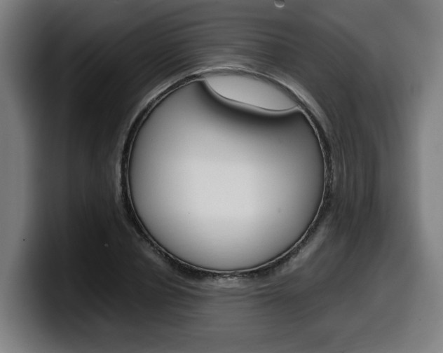 X0000099490834200805150926