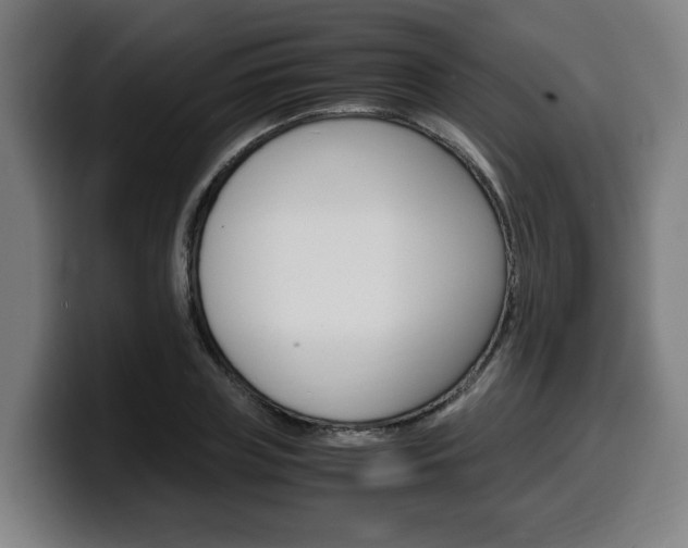 X0000099490835200805150926