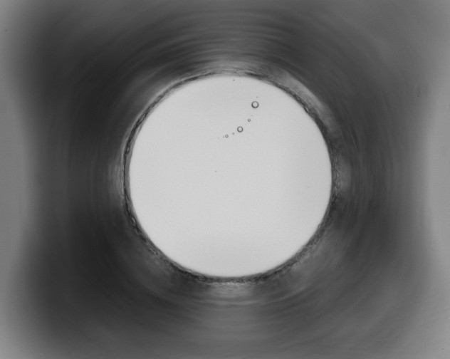 X0000099490836200805150926