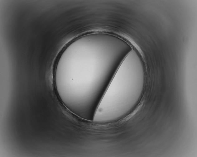X0000099490837200805150926