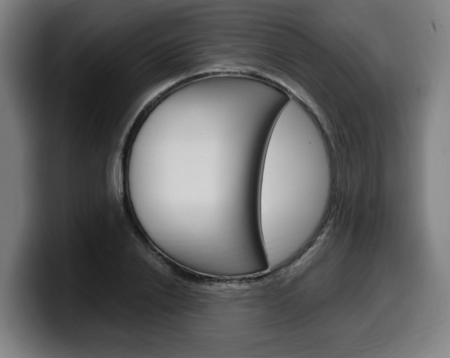 X0000099490838200805150926