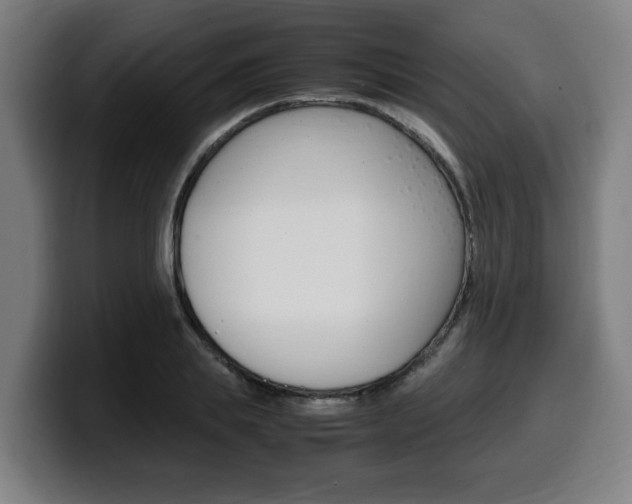 X0000099490839200805150926