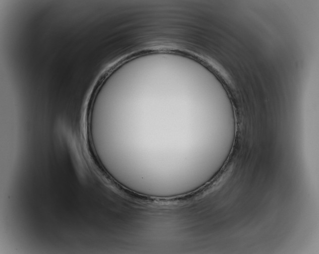 X0000099490840200805150926