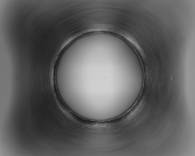 X0000099490842200805150926