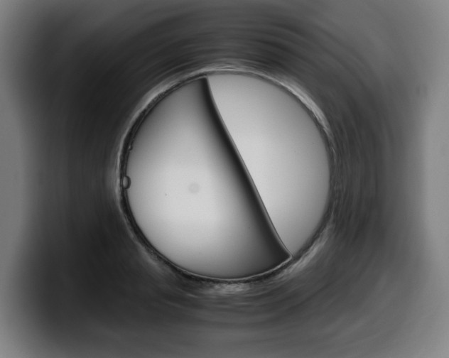 X0000099490845200805150926