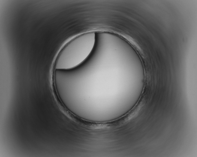 X0000099490846200805150926