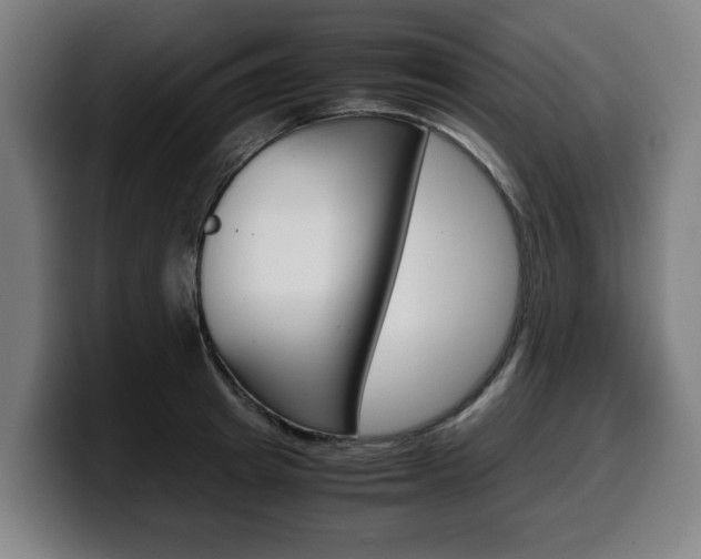 X0000099490849200805150926