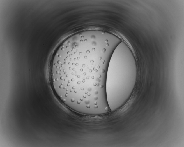X0000099490851200805150926