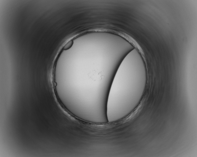 X0000099490855200805150926