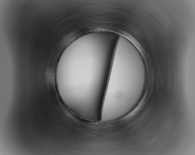 X0000099490857200805150926