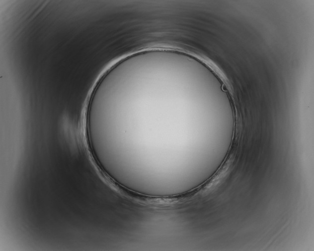 X0000099490862200805150926