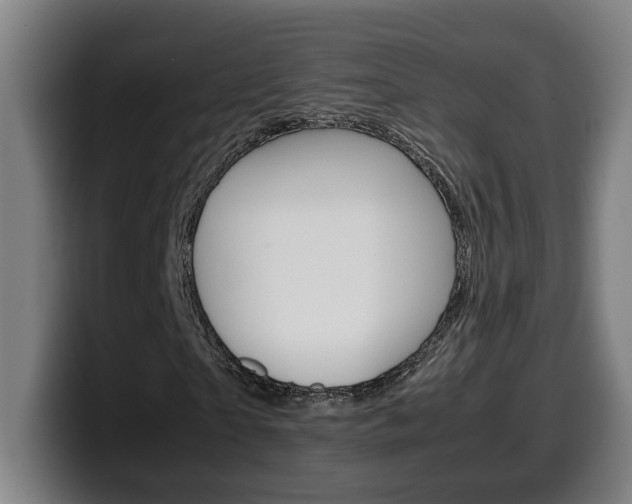 X0000099490865200805150925