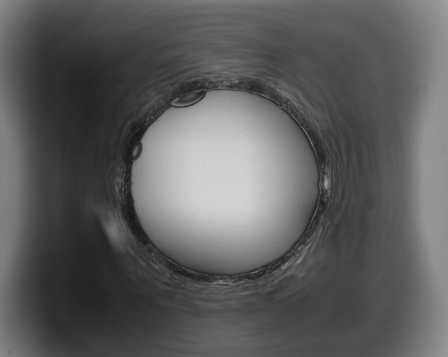 X0000099490867200805150925