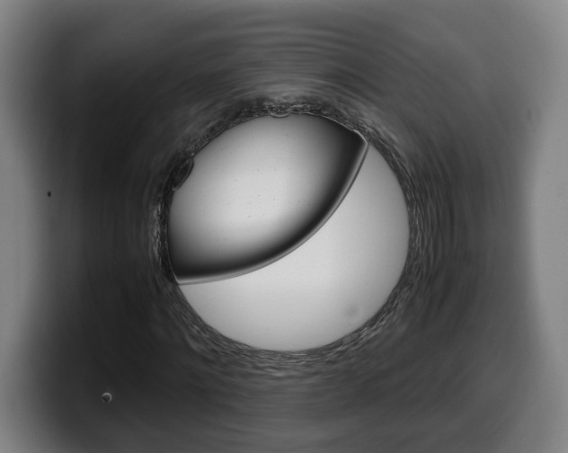 X0000099490868200805150925