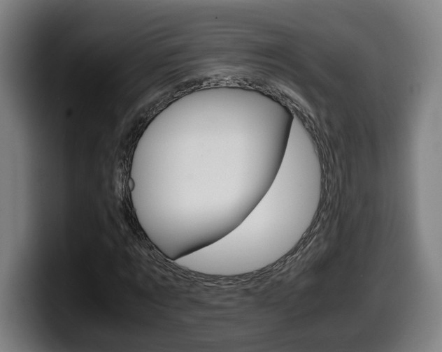 X0000099490869200805150925
