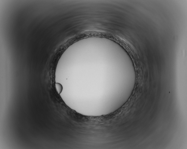 X0000099490870200805150925