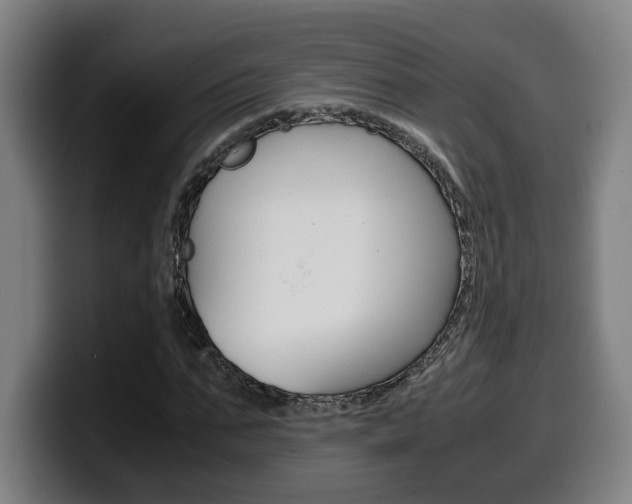 X0000099490871200805150925