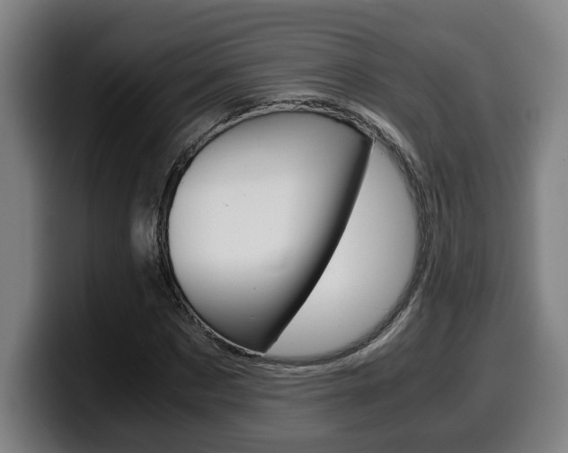 X0000099490873200805150925