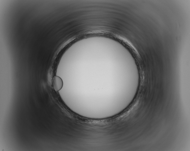 X0000099490874200805150925