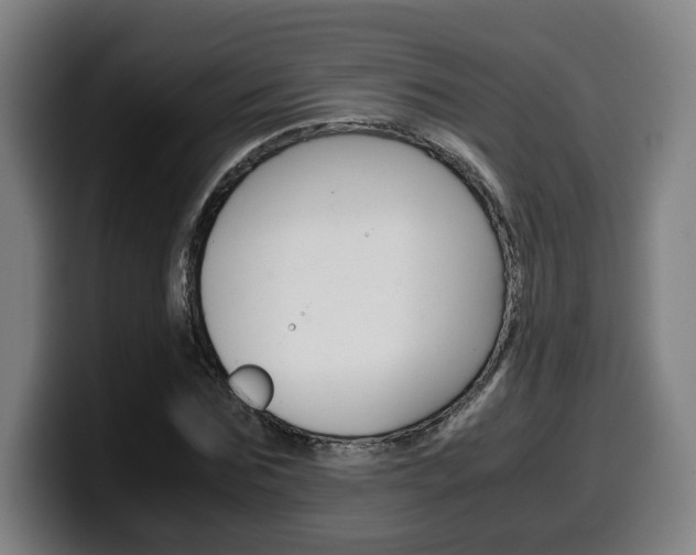 X0000099490875200805150925