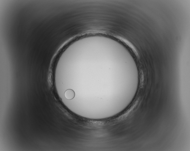 X0000099490878200805150925