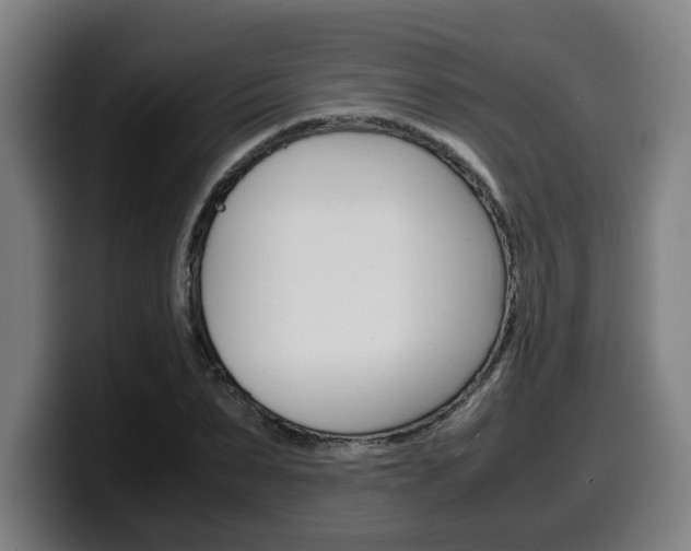 X0000099490879200805150925