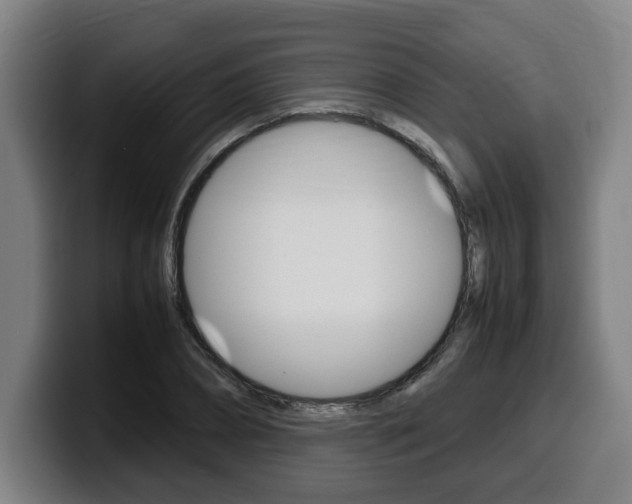 X0000099490882200805150925
