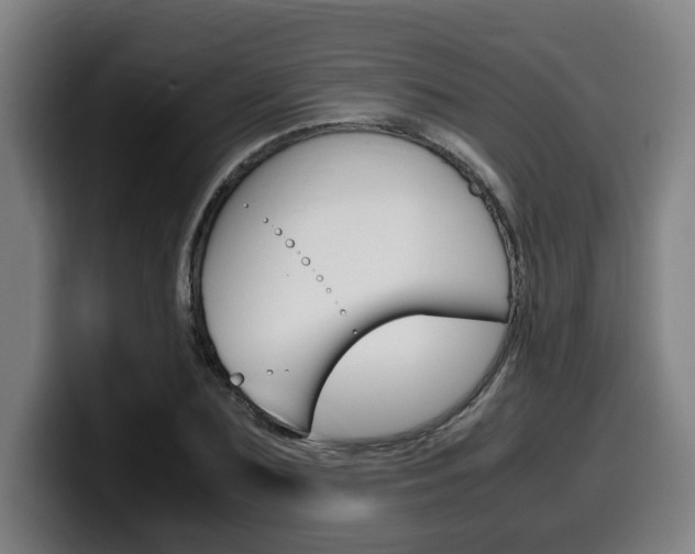 X0000099490883200805150925