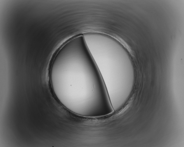 X0000099490885200805150925