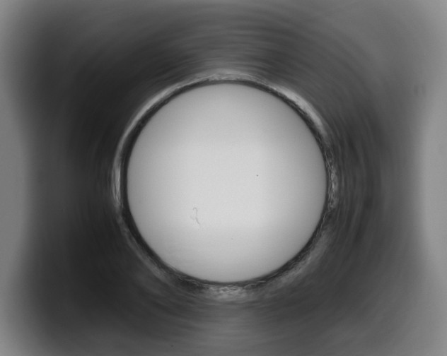 X0000099490886200805150925