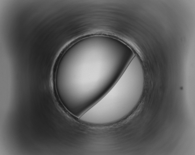 X0000099490888200805150925