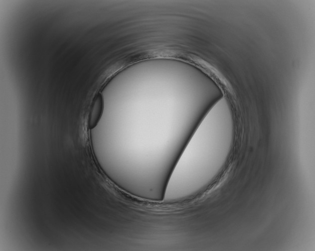 X0000099490889200805150925