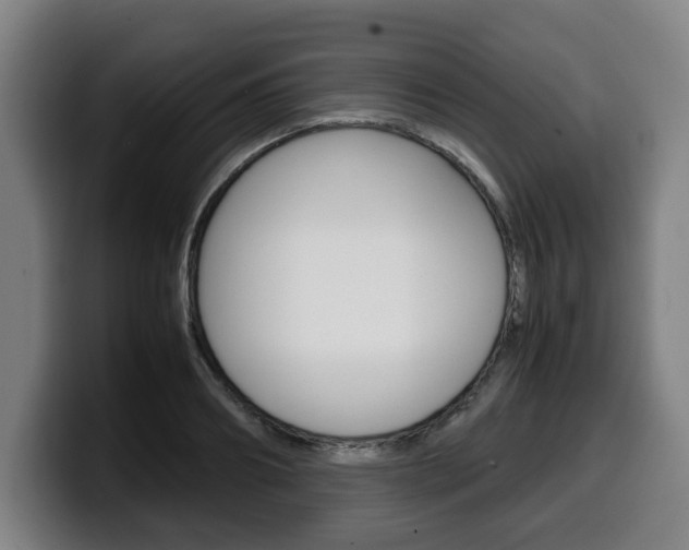 X0000099490890200805150925