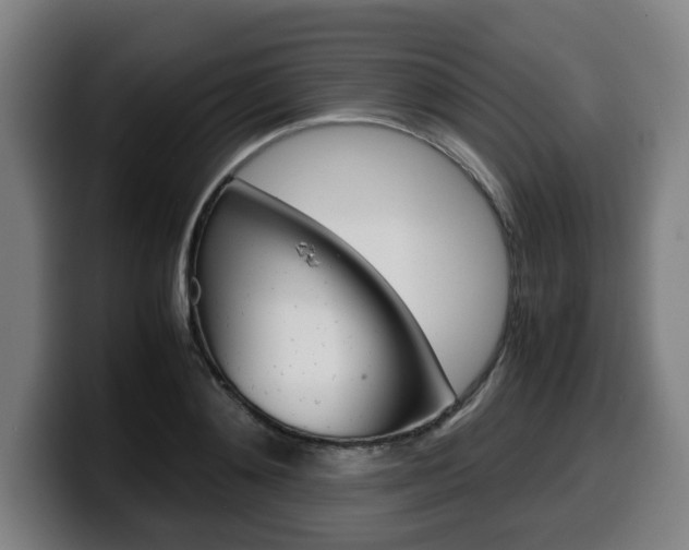 X0000099490892200805150925