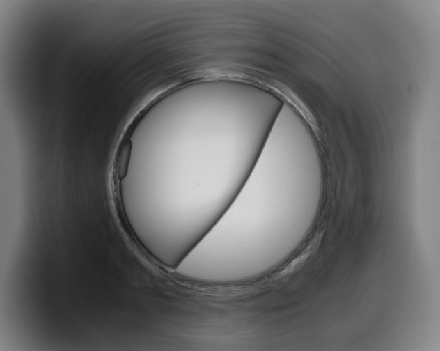 X0000099490893200805150925