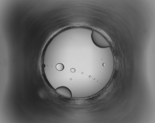 X0000099490895200805150925