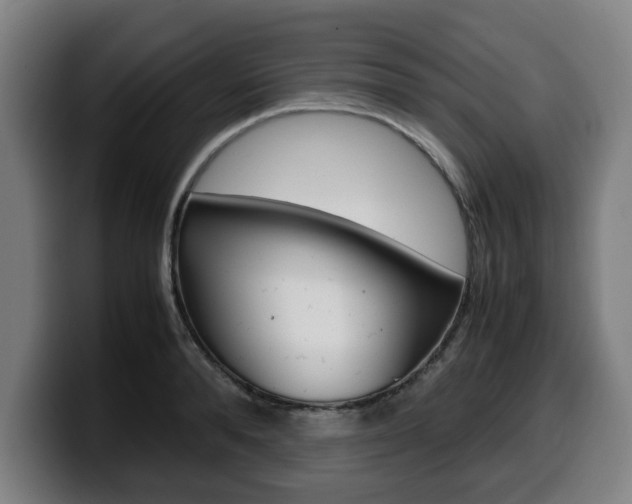 X0000099490896200805150925