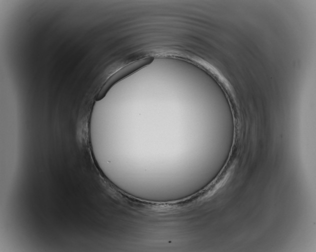X0000099490897200805150925