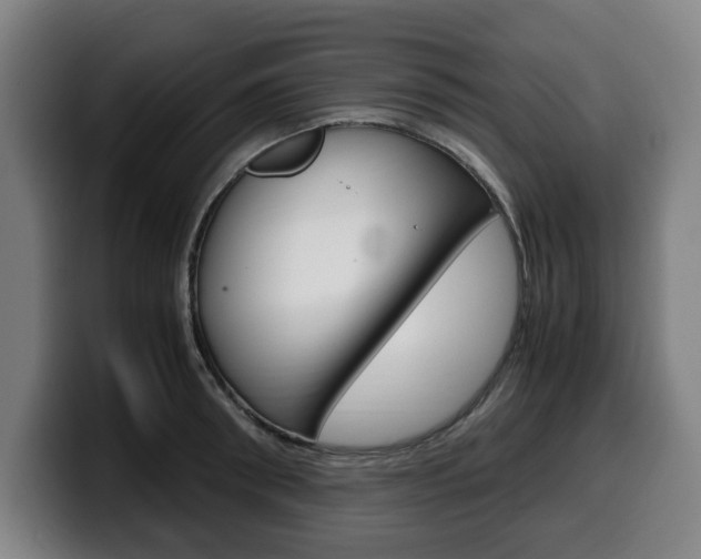 X0000099490898200805150925