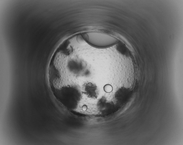 X0000099490899200805150925