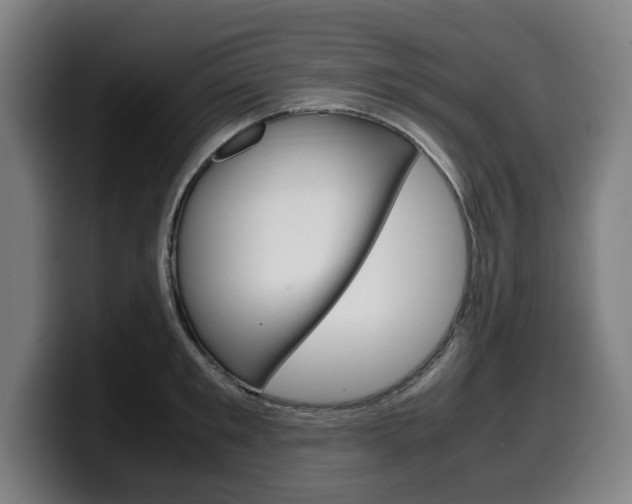 X0000099490901200805150925