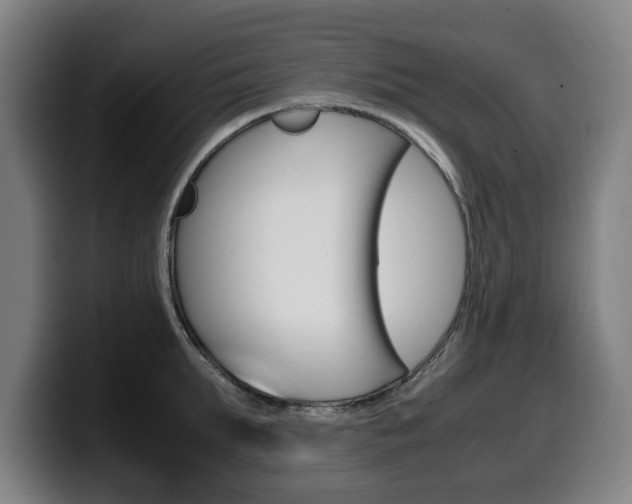 X0000099490903200805150925
