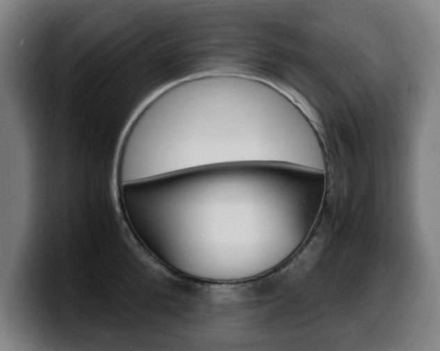 X0000099490904200805150925