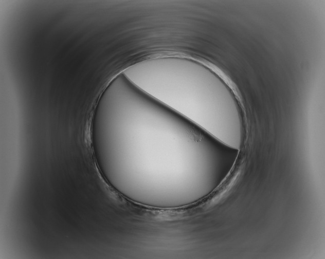 X0000099490905200805150925