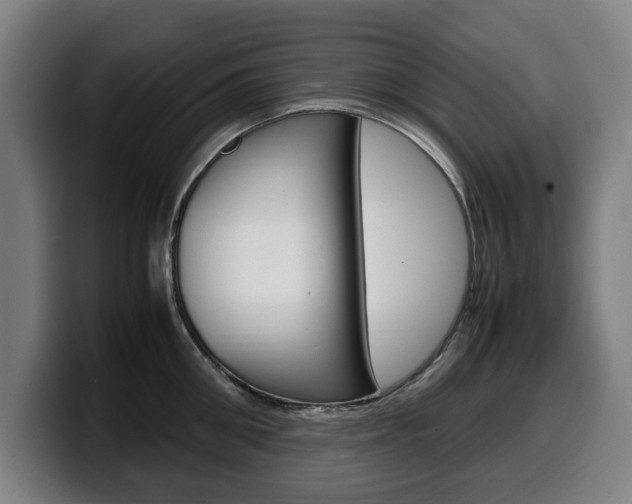 X0000099490906200805150925