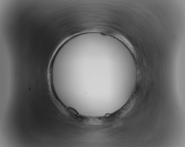 X0000099490907200805150925